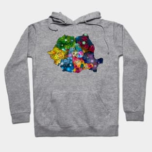 Spirograph Patterned Romania Counties Map Hoodie